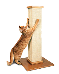 scratch post